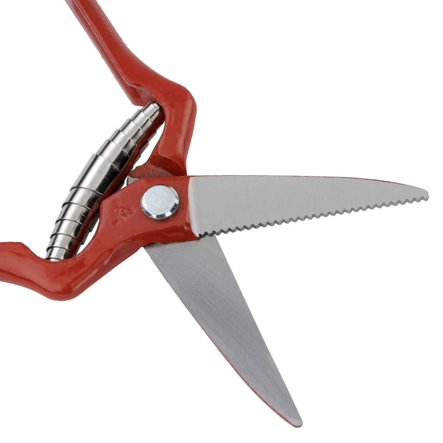 Bellota 3502-19 BL forbici vendemmia forgiate 19 cm