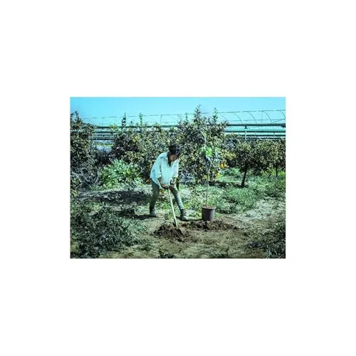 Bellota 5604-24 piccone forgiato manico muleta 24 mm