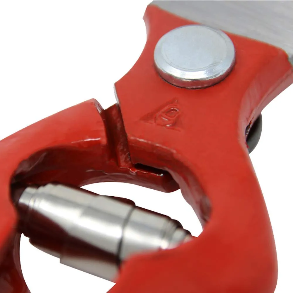 Bellota 3501-22 BL forbici potatura forgiate 220 mm 25 mm