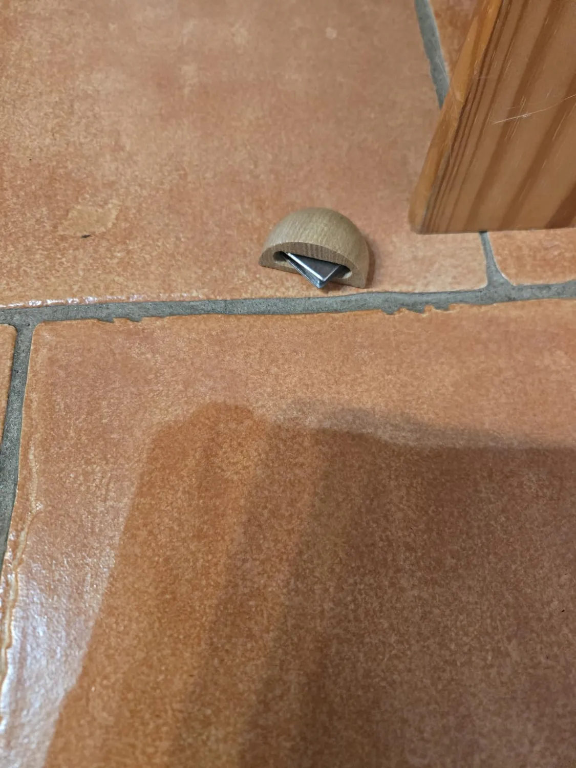 Amig fermaporta magnetico rovere 48x25 mm 6 pezzi