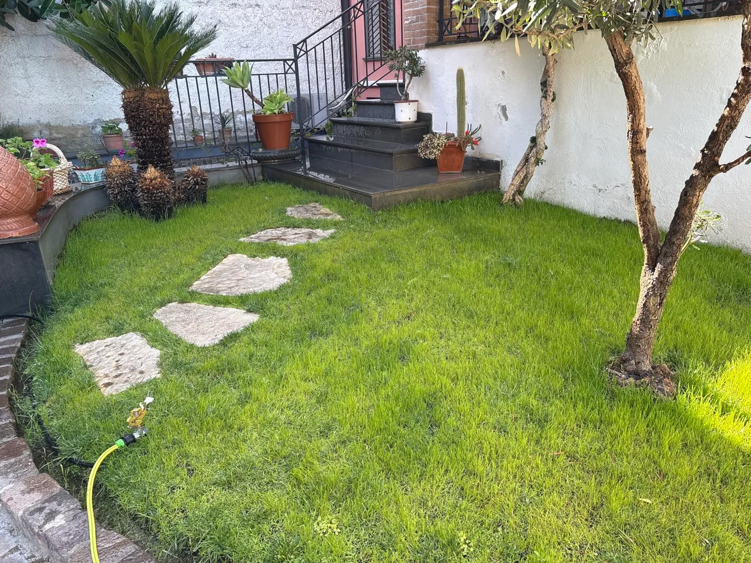 Ribimex Irrigatore a Battente su Picchetto in Metallo 360°