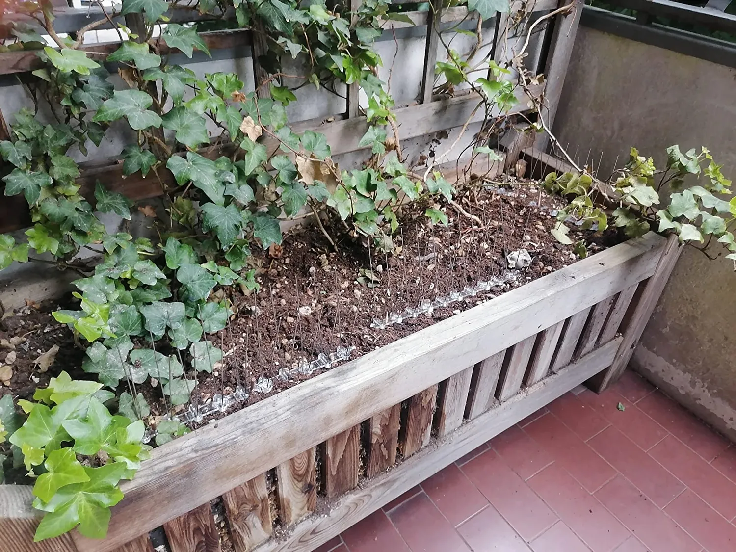 Ribiland-Ribimex AG0120/50 dissuasori piccioni set 2 pezzi 50cm