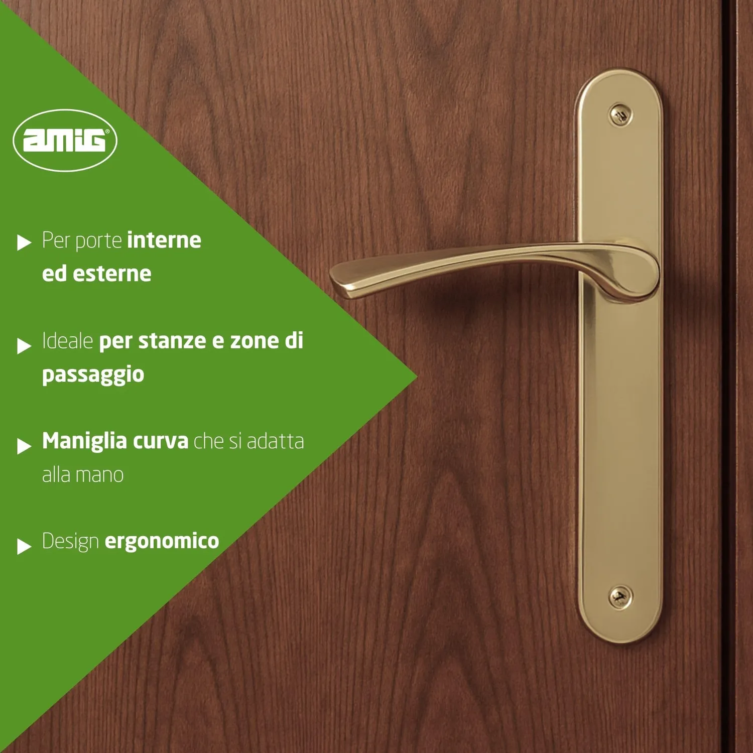 Amig maniglia placca ovale ottone set 2 pezzi