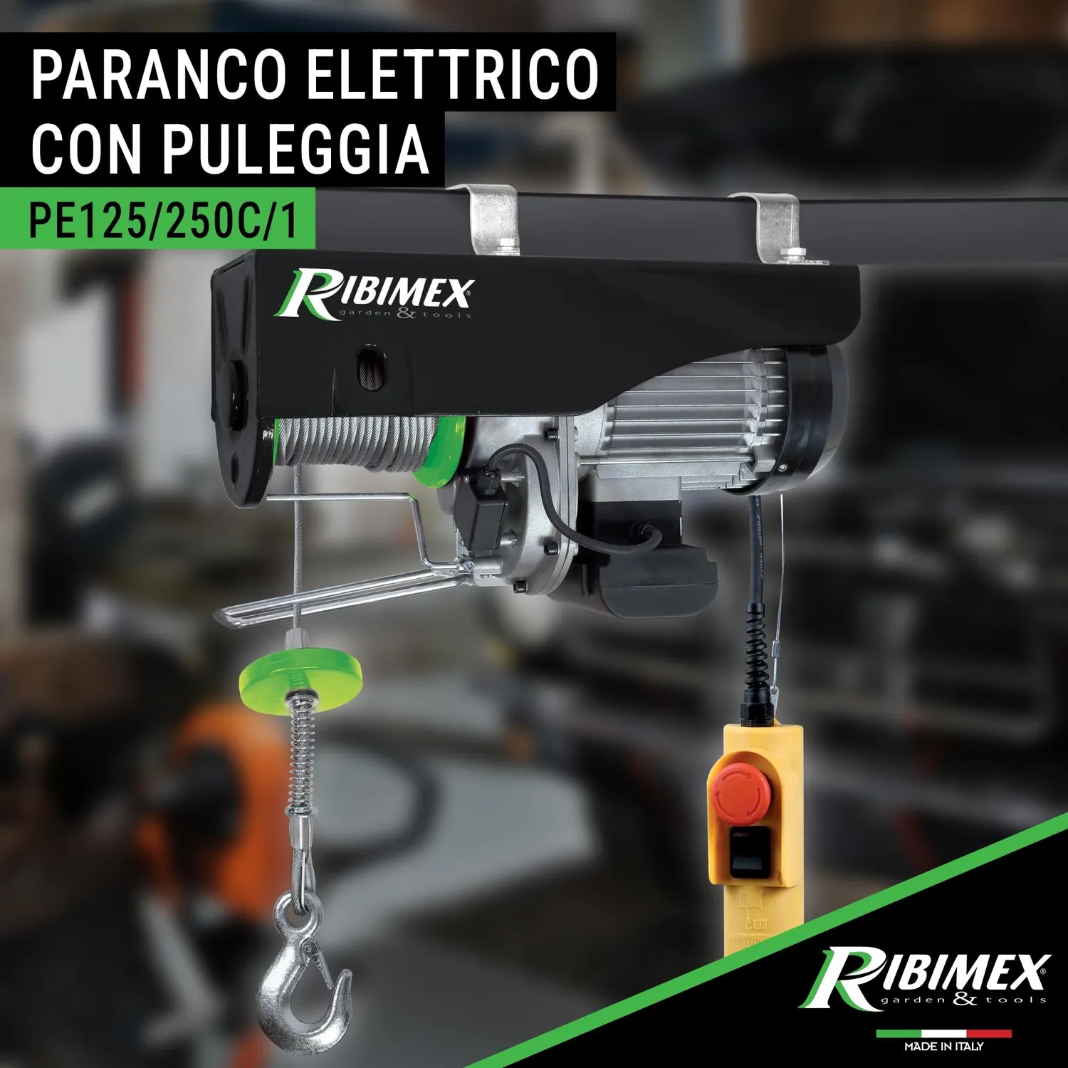 Ribimex PE125/250C/1 paranco elettrico 125/250 kg cavo 18 m