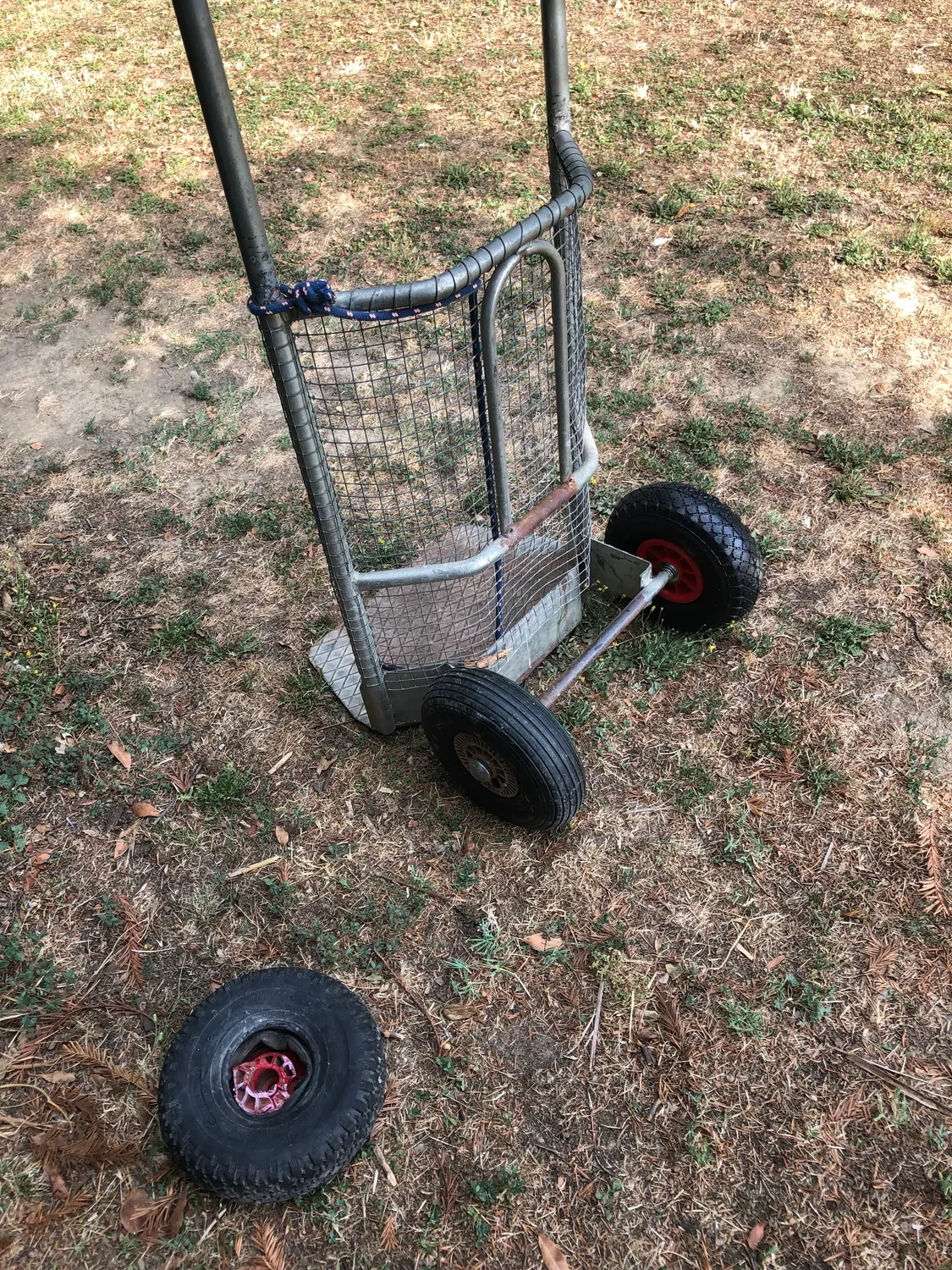 Ribimex Ø260 mm Ruota Gonfiabile Carrello Pneumatica