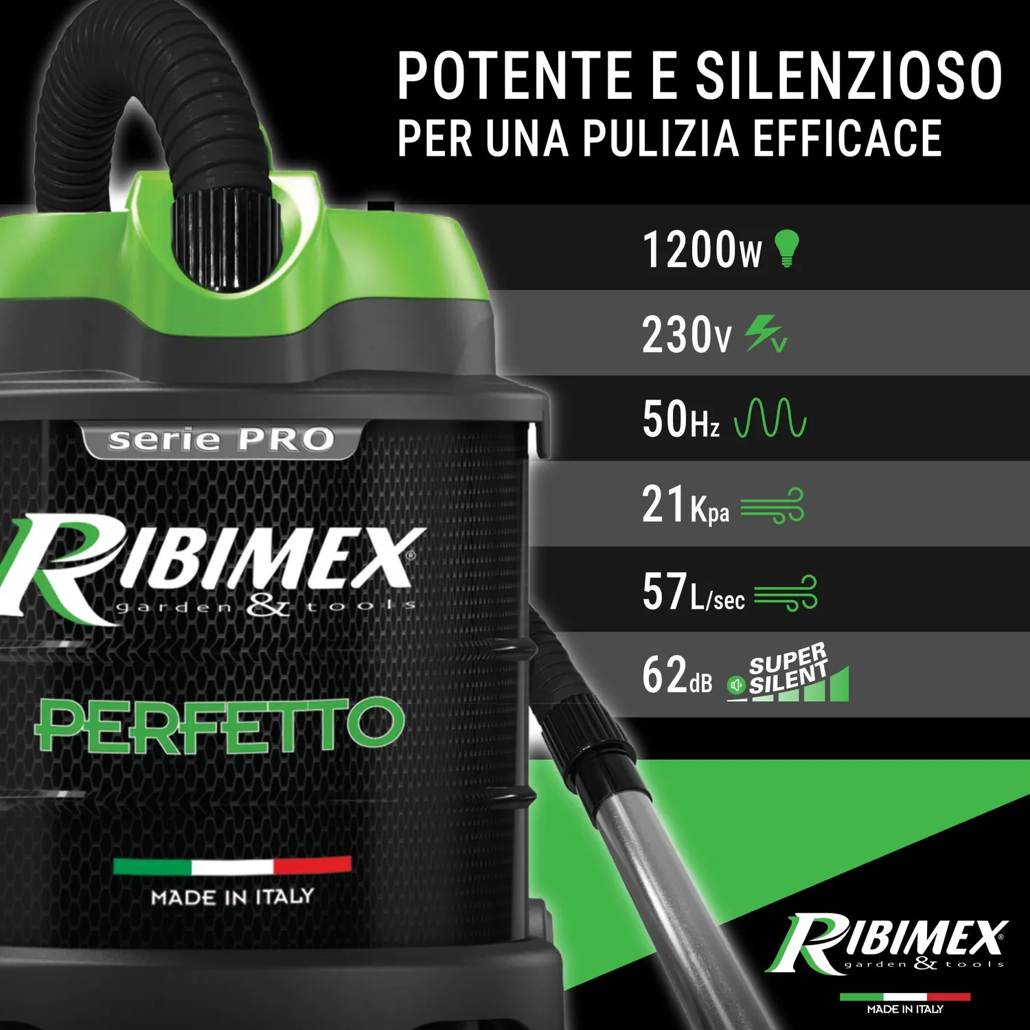 Ribimex Perfetto aspiracenere 20 L 1200 W con soffiante