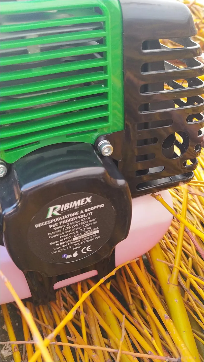Ribimex PRDEBT431/IT Decespugliatore scoppio 43 cc