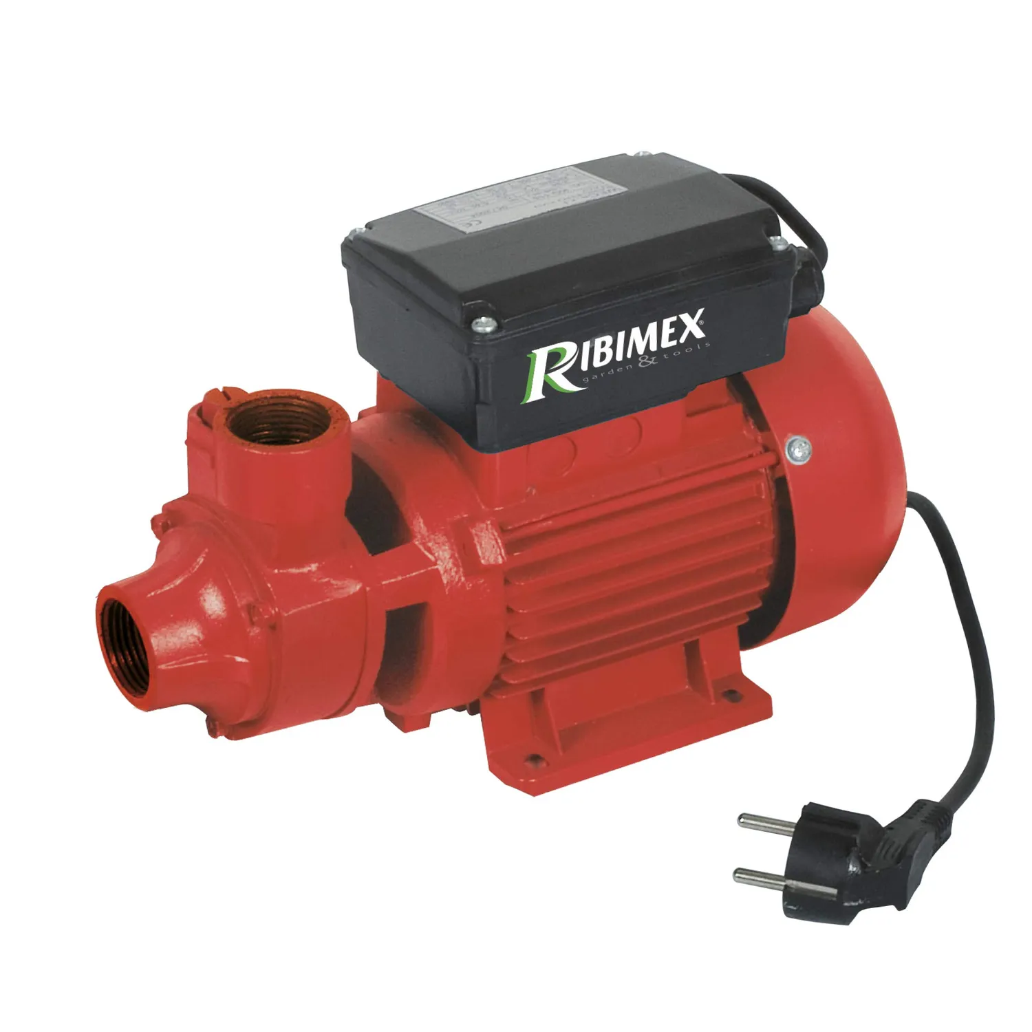 Ribimex kit pompa gasolio 370W tubo 4 m pistola