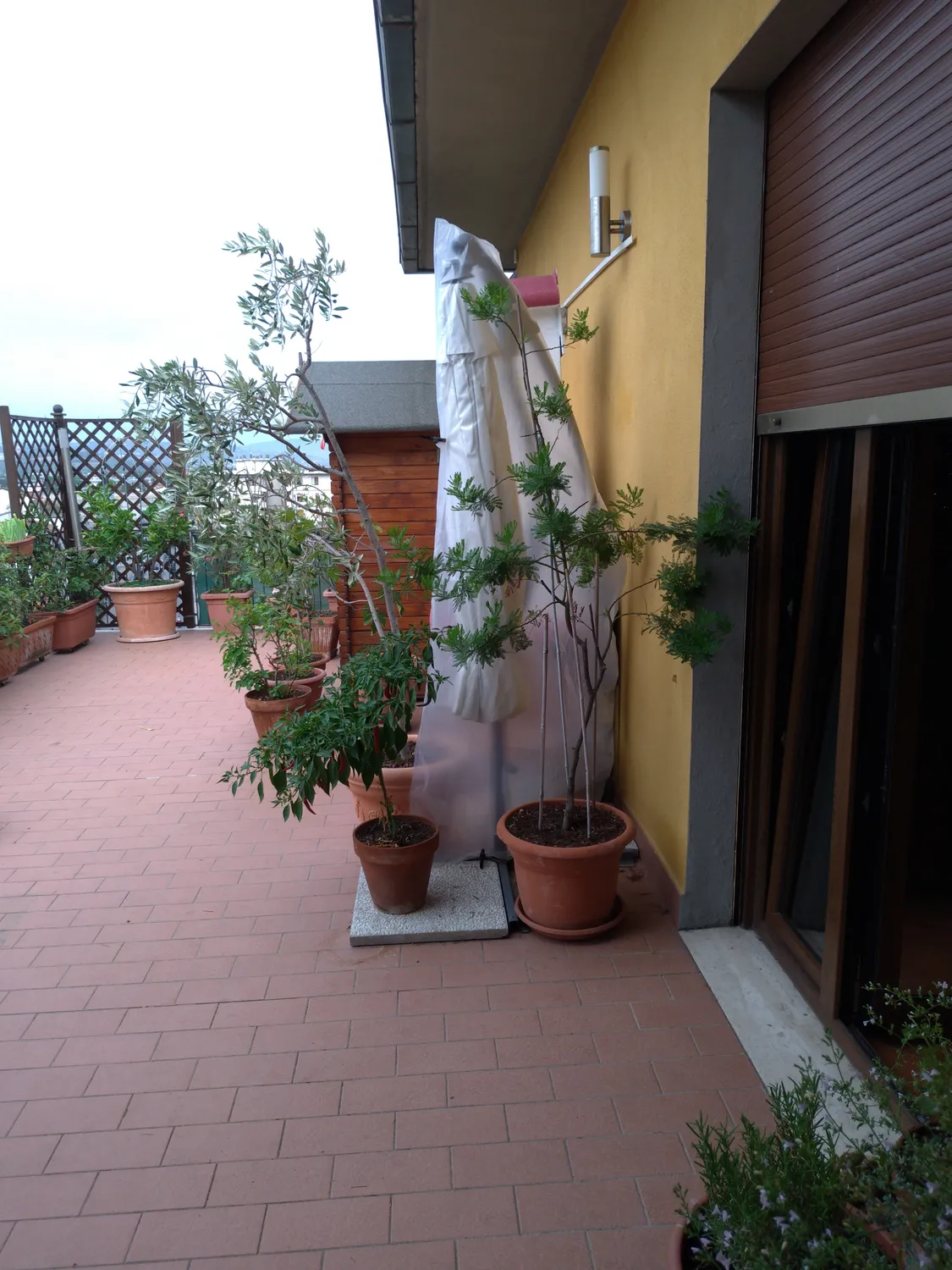 Ribimex PRH090225X100 telo ombrellone trasparente 100x225 cm
