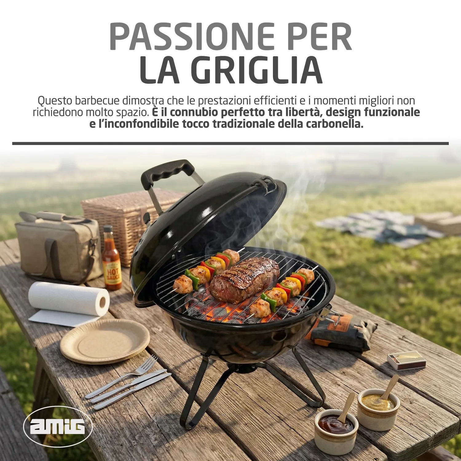 Amig Krypta barbecue carbone 37x37x45 cm nero