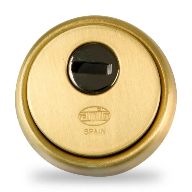 Amig Defender 31 scudo ottone oro cilindro europeo