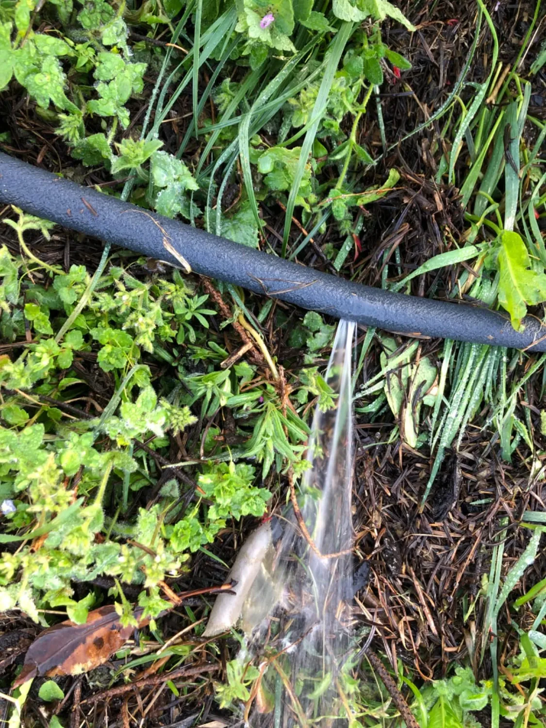 Ribimex TubìDrop tubo poroso irrigazione 100 m microforato