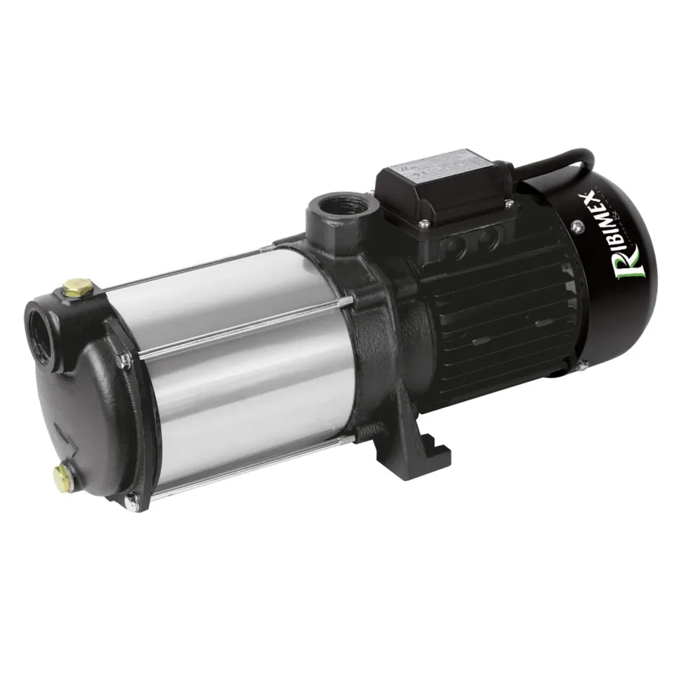 Ribimex PRMCA5GD pompa superficie 2300W 170L/min