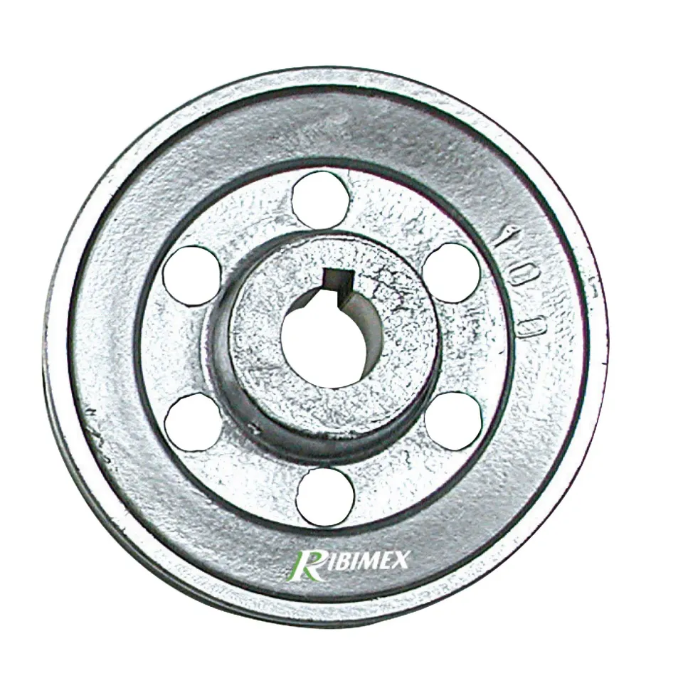 Ribiland-Ribimex PRP19/100 puleggia alluminio 19x100 mm
