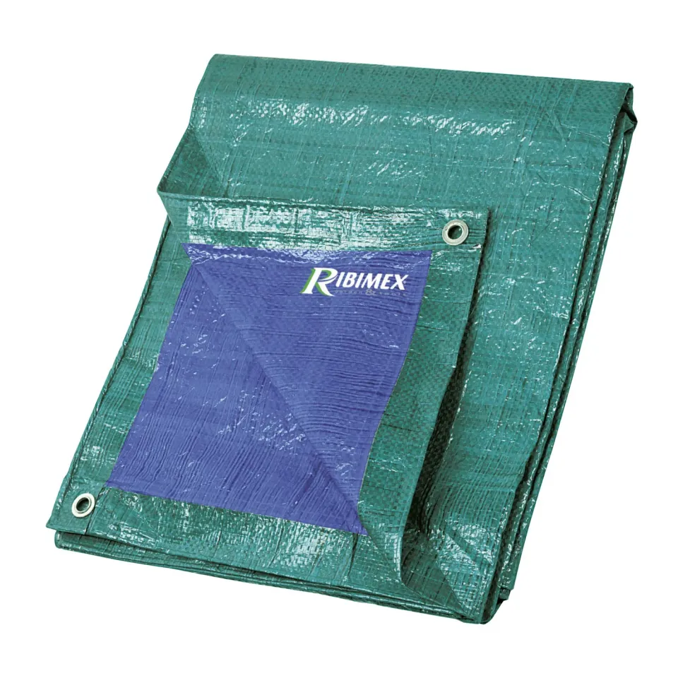 Ribimex PRB14008X12 Telone Rinforzato 8x12 m 140 g