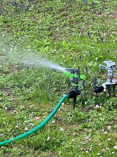 Ribiland-Ribimex irrigatore a battente puntale plastica