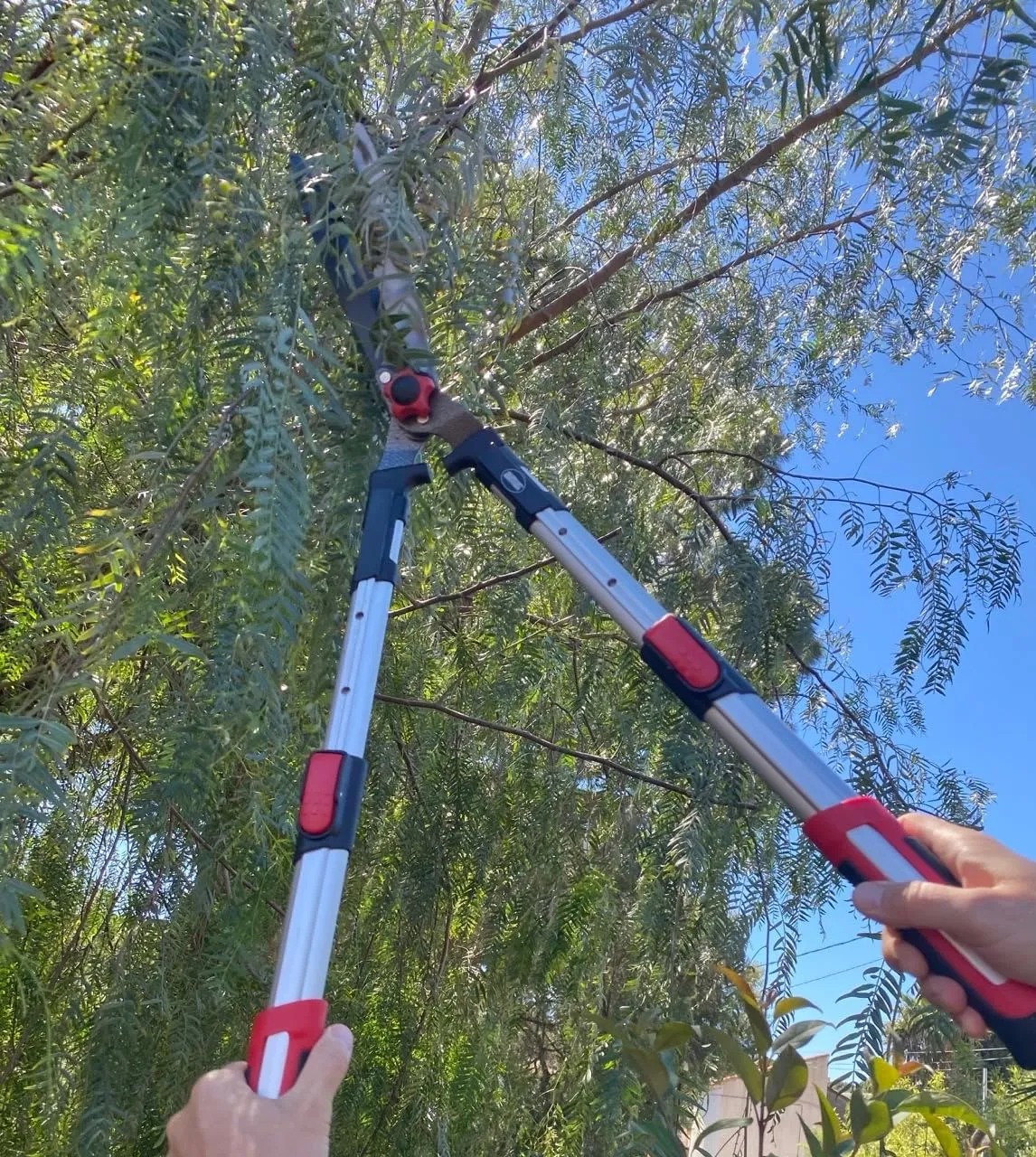 Amig forbice siepi telescopica 68-88 cm lama ondulata
