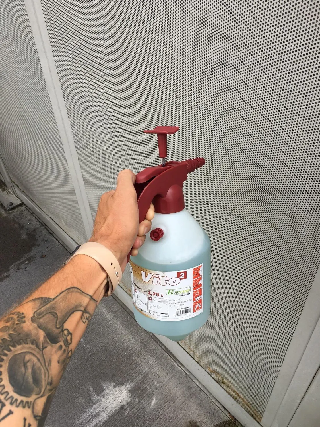 Ribimex Vito 2 nebulizzatore a pressione 2 L Viton