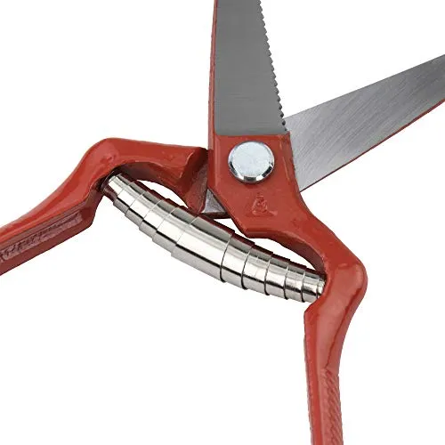 Bellota 3502-19 BL forbici vendemmia forgiate 19 cm
