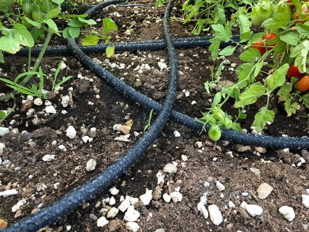 Ribimex TubìDrop tubo poroso irrigazione 100 m microforato