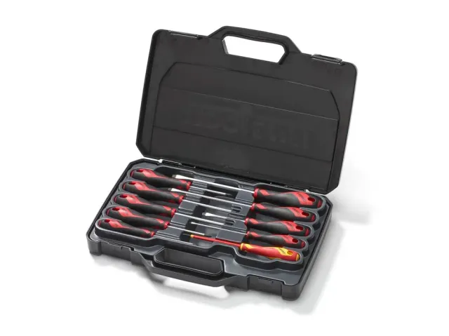 TengTools Set 10 Cacciaviti Piatti PH PZ Professionali