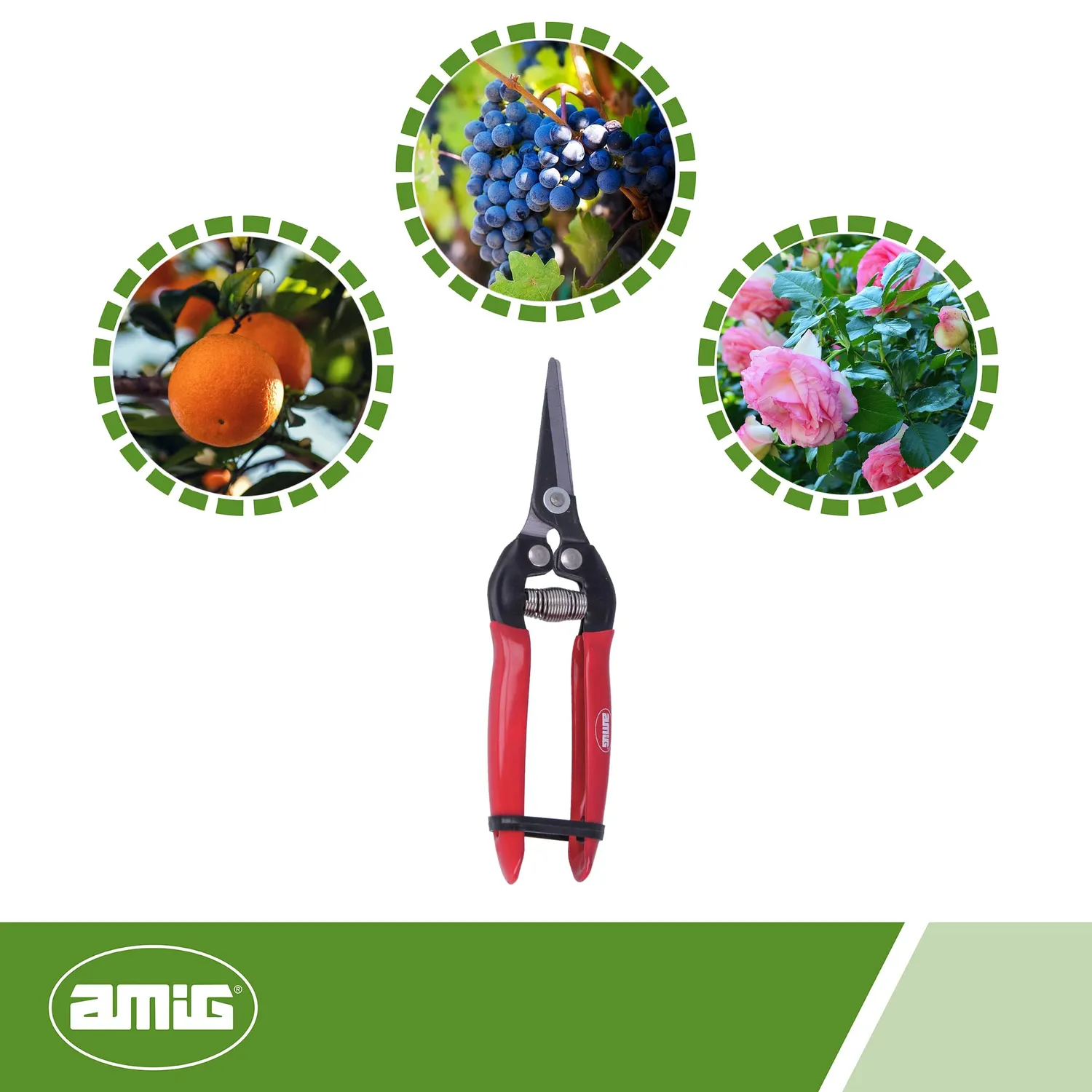 Amig forbice potatura raccolta 185 mm lama dritta
