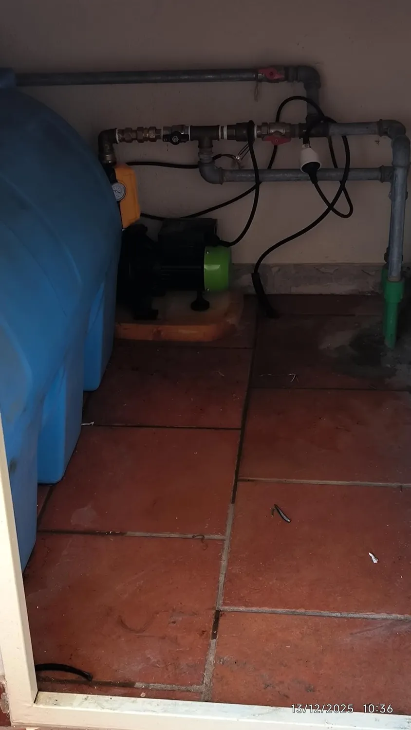 Ribimex Jet 81 Pompa Superficie Autoadescante 2400 L/h