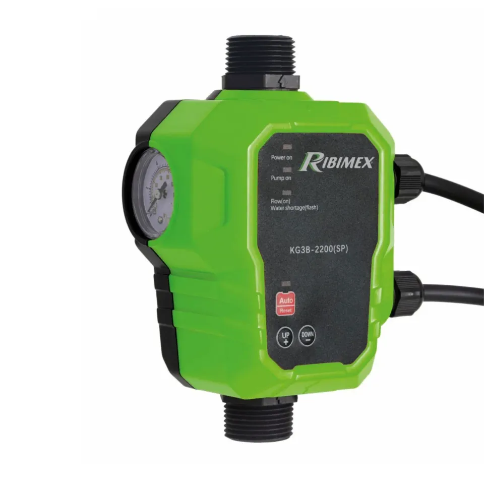 Ribimex AcquaControl PRPCTRL21 pressostato 1" 10 bar