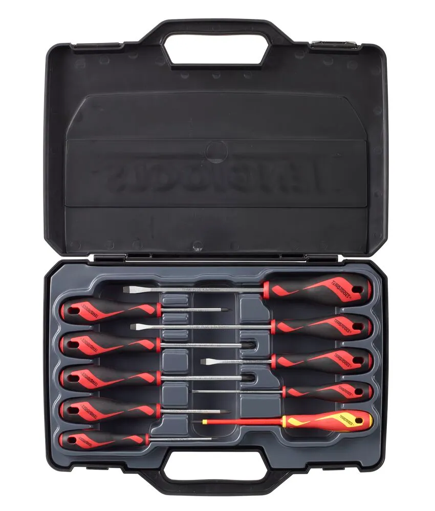 TengTools Set 10 Cacciaviti Piatti PH PZ Professionali