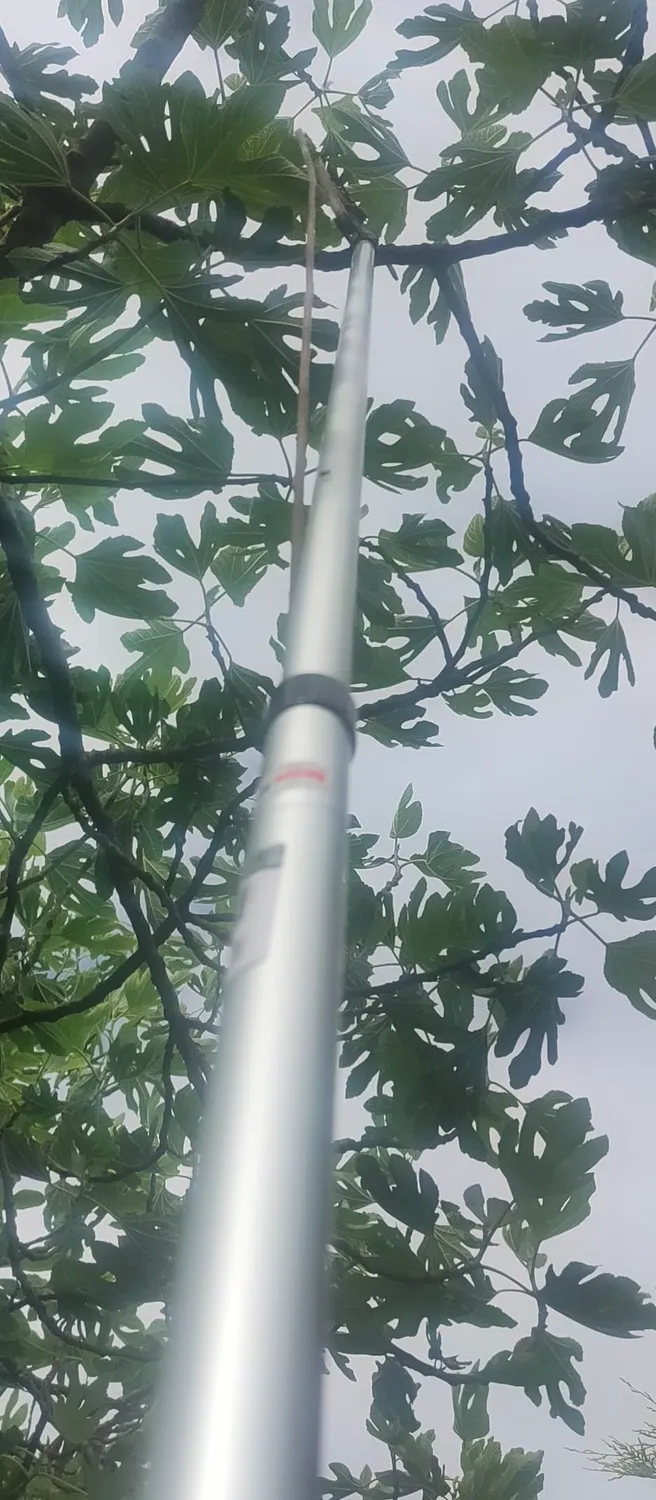 Amig asta telescopica alluminio 3 m per potatura