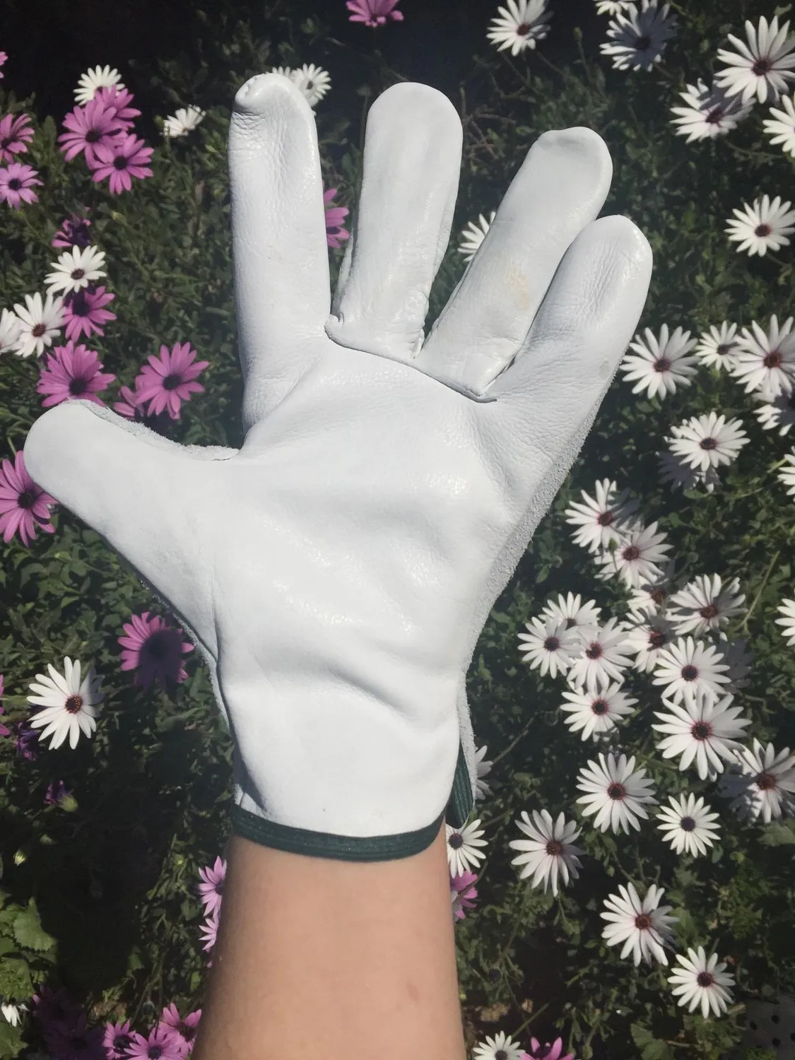 Bellota 75105-10/XL guanti potatura XL 2 paia pelle