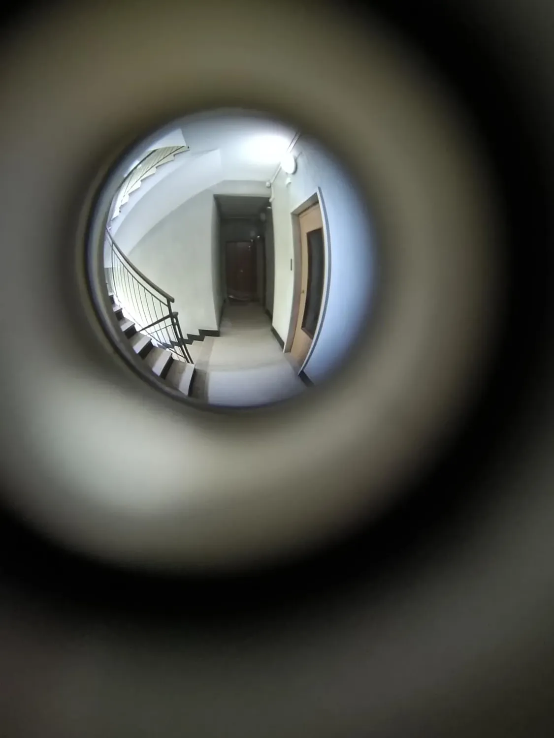 Amig Spioncino Ottone Lucido Porte 35-60 mm
