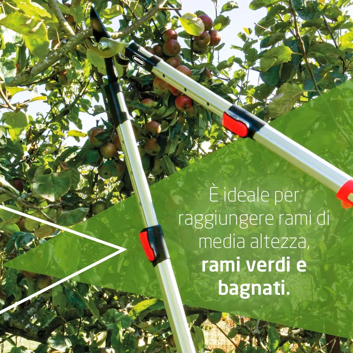 Amig Forbice Potatura Telescopica 62-97 cm 38 mm Bypass