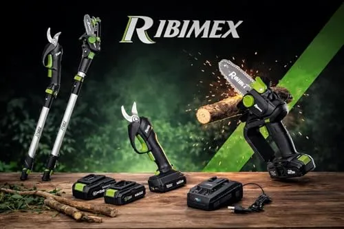 Ribimex PRBAT20 KIT10 kit potatura 20V 2 batterie