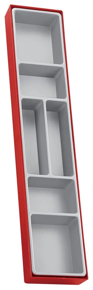 TengTools TTX4 vassoio portautensili 6 scomparti
