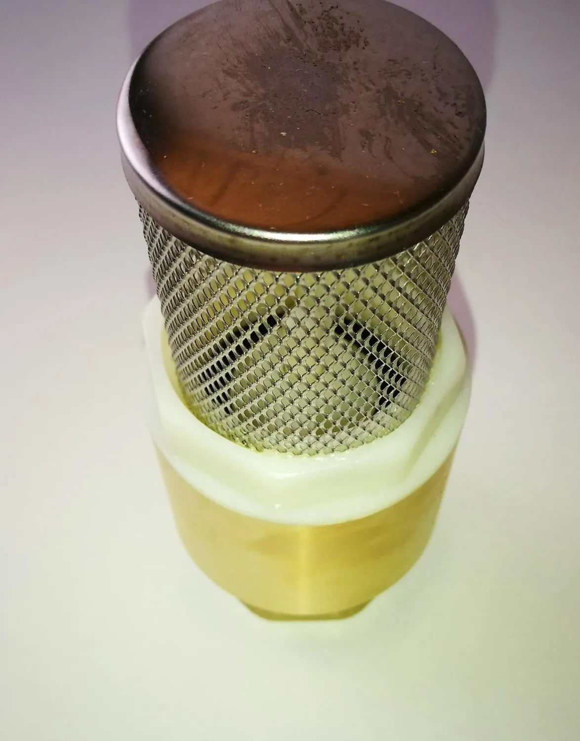 Ribimex PRVF38 Valvola di Fondo Ottone 1 Pollice Filtro