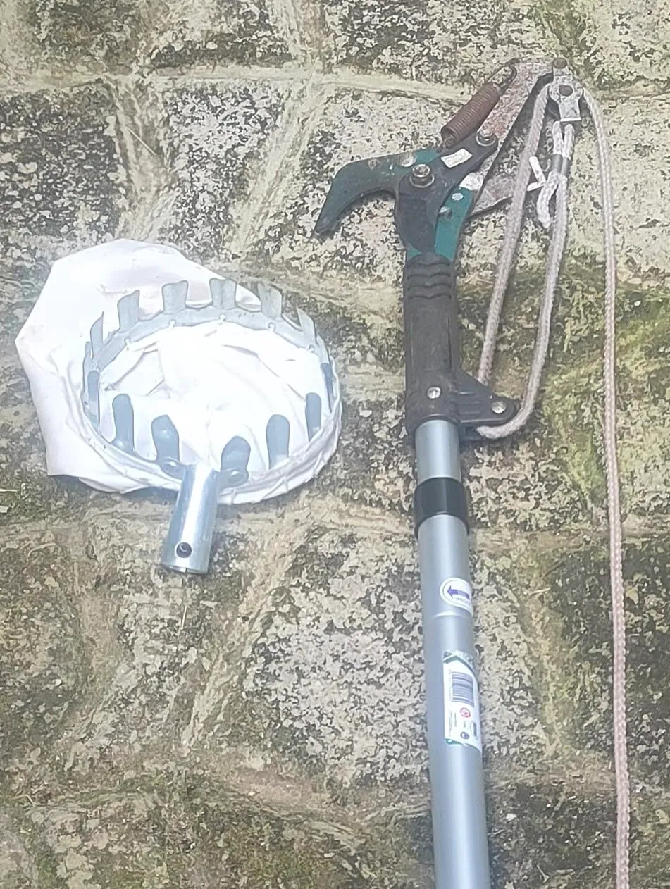 Amig asta telescopica alluminio 3 m per potatura