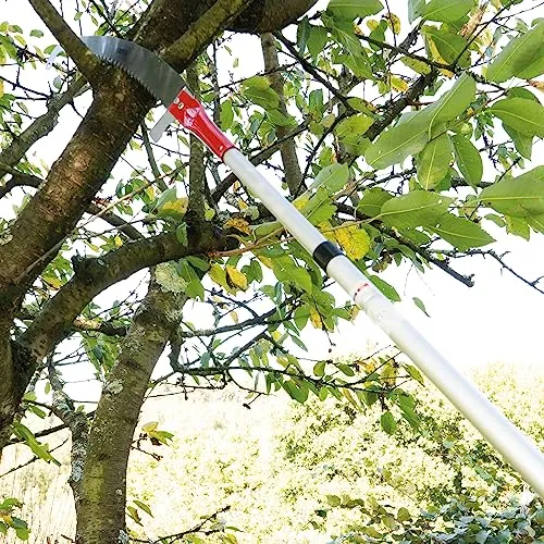 Amig asta telescopica alluminio 3 m per potatura