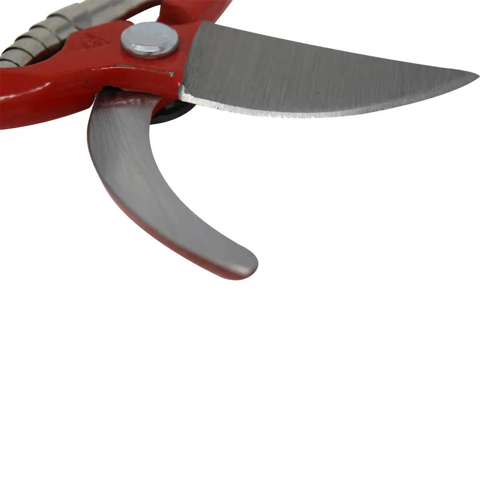 Bellota 3501-22 BL forbici potatura forgiate 220 mm 25 mm